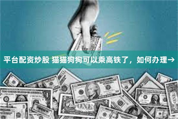 平台配资炒股 猫猫狗狗可以乘高铁了，如何办理→