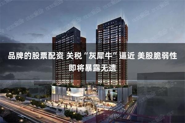 品牌的股票配资 关税“灰犀牛”逼近 美股脆弱性即将暴露无遗