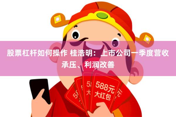 股票杠杆如何操作 桂浩明：上市公司一季度营收承压、利润改善