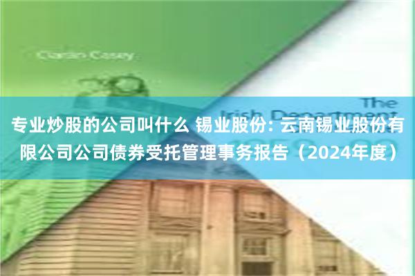 专业炒股的公司叫什么 锡业股份: 云南锡业股份有限公司公司债券受托管理事务报告(2024年度)