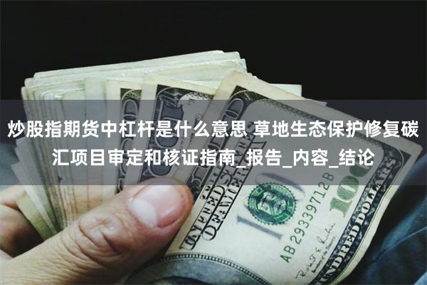 炒股指期货中杠杆是什么意思 草地生态保护修复碳汇项目审定和核证指南_报告_内容_结论