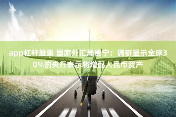 app杠杆股票 国家外汇局贾宁：调研显示全球30%的央行表示将增配人民币资产