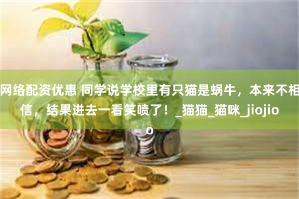 网络配资优惠 同学说学校里有只猫是蜗牛，本来不相信，结果进去一看笑喷了！_猫猫_猫咪_jiojio