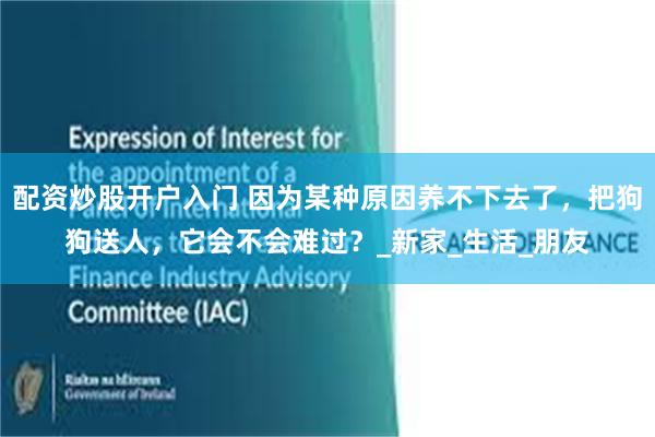 配资炒股开户入门 因为某种原因养不下去了，把狗狗送人，它会不会难过？_新家_生活_朋友