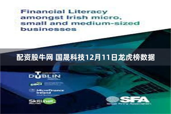 配资股牛网 国晟科技12月11日龙虎榜数据