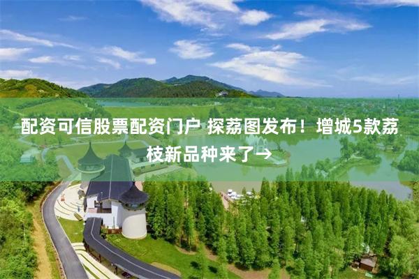 配资可信股票配资门户 探荔图发布！增城5款荔枝新品种来了→