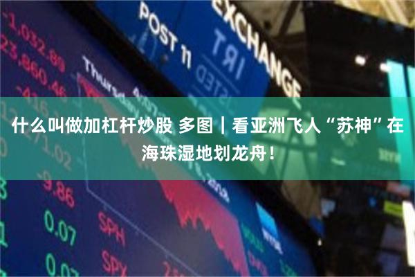 什么叫做加杠杆炒股 多图｜看亚洲飞人“苏神”在海珠湿地划龙舟！