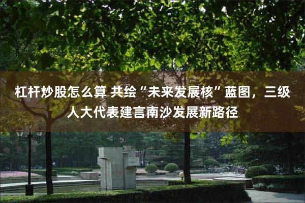 杠杆炒股怎么算 共绘“未来发展核”蓝图，三级人大代表建言南沙发展新路径