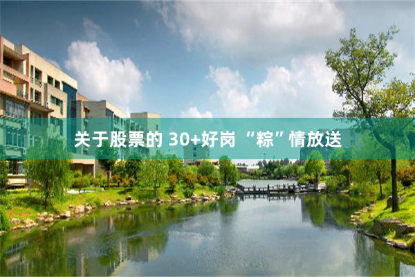 关于股票的 30+好岗 “粽”情放送
