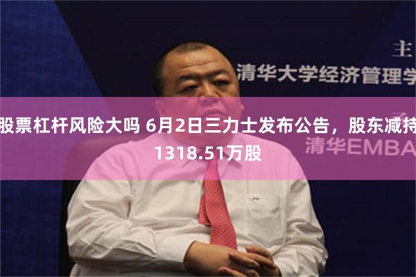 股票杠杆风险大吗 6月2日三力士发布公告，股东减持1318.51万股