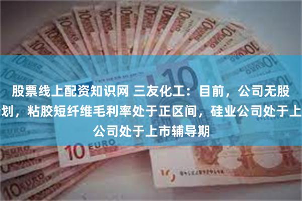 股票线上配资知识网 三友化工：目前，公司无股份回购计划，粘胶短纤维毛利率处于正区间，硅业公司处于上市辅导期
