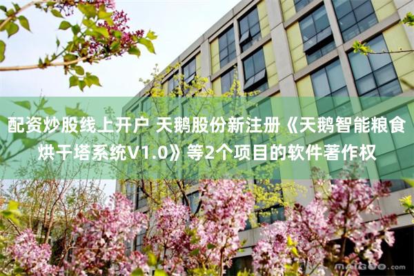 配资炒股线上开户 天鹅股份新注册《天鹅智能粮食烘干塔系统V1.0》等2个项目的软件著作权