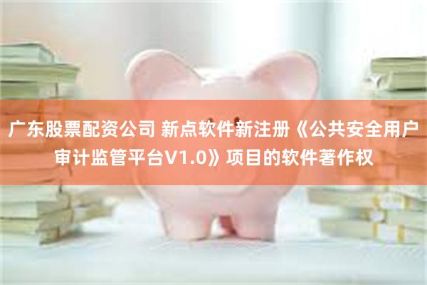 广东股票配资公司 新点软件新注册《公共安全用户审计监管平台V1.0》项目的软件著作权