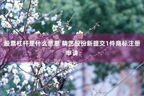 股票杠杆是什么意思 精艺股份新提交1件商标注册申请