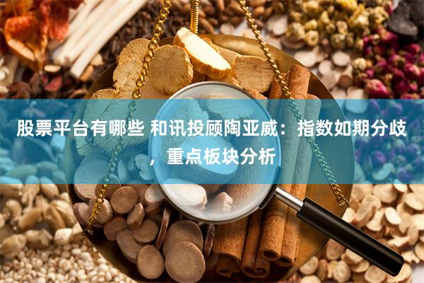 股票平台有哪些 和讯投顾陶亚威：指数如期分歧，重点板块分析