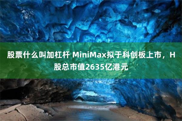 股票什么叫加杠杆 MiniMax拟于科创板上市，H股总市值2635亿港元