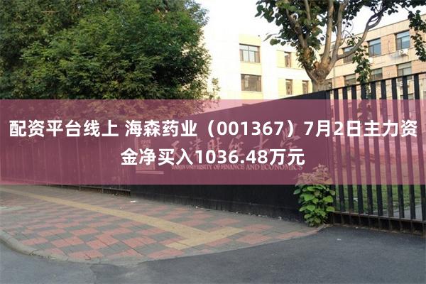 配资平台线上 海森药业（001367）7月2日主力资金净买入1036.48万元