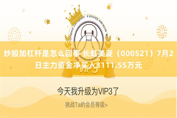 炒股加杠杆是怎么回事 长虹美菱（000521）7月2日主力资金净买入3111.55万元