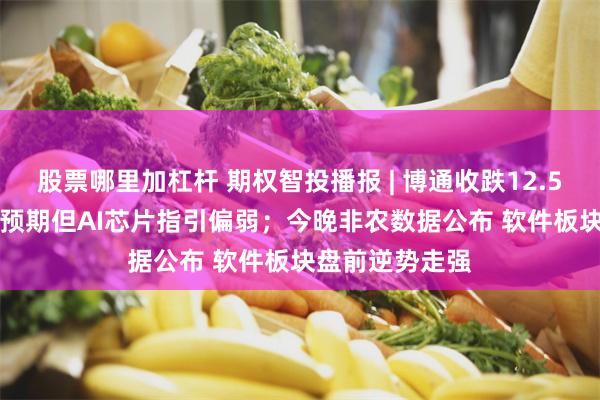 股票哪里加杠杆 期权智投播报 | 博通收跌12.59% Q2业绩超预期但AI芯片指引偏弱；今晚非农数据公布 软件板块盘前逆势走强