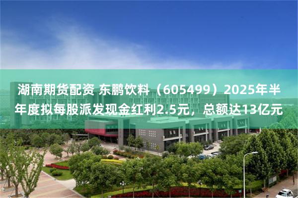 湖南期货配资 东鹏饮料（605499）2025年半年度拟每股派发现金红利2.5元，总额达13亿元
