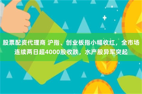 股票配资代理商 沪指、创业板指小幅收红，全市场连续两日超4000股收跌，水产股异军突起