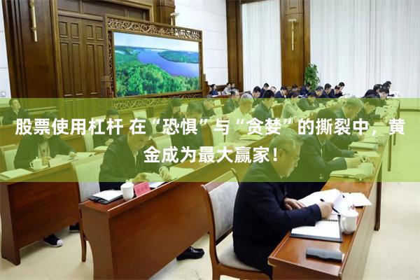 股票使用杠杆 在“恐惧”与“贪婪”的撕裂中，黄金成为最大赢家！