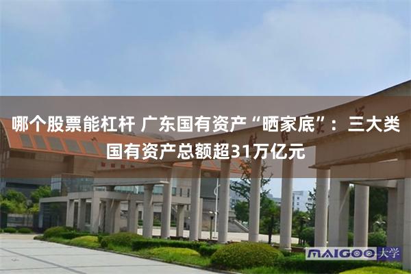 哪个股票能杠杆 广东国有资产“晒家底”：三大类国有资产总额超31万亿元