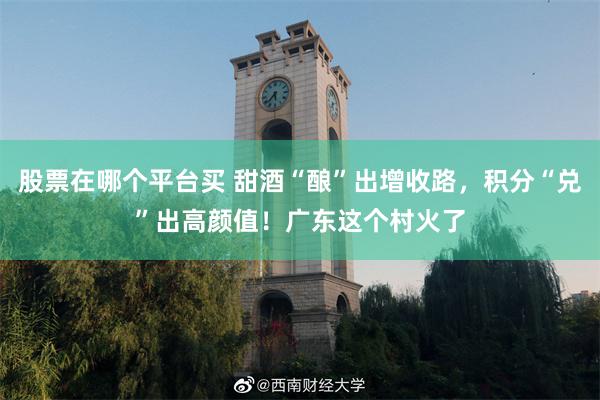 股票在哪个平台买 甜酒“酿”出增收路，积分“兑”出高颜值！广东这个村火了