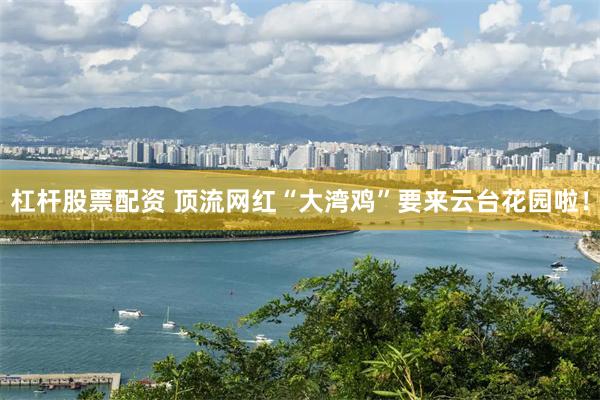 杠杆股票配资 顶流网红“大湾鸡”要来云台花园啦！