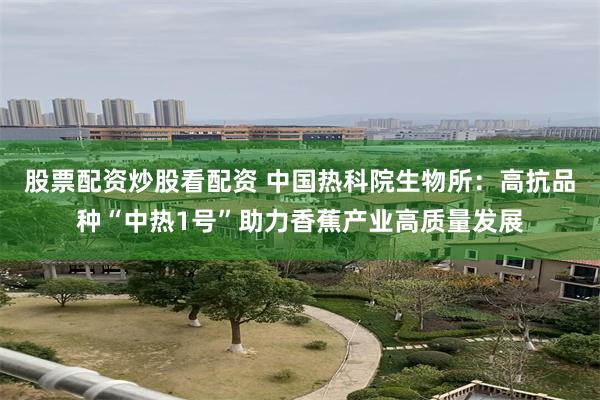 股票配资炒股看配资 中国热科院生物所：高抗品种“中热1号”助力香蕉产业高质量发展
