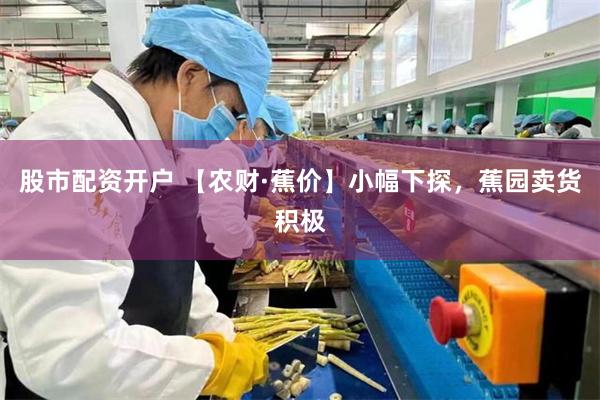 股市配资开户 【农财·蕉价】小幅下探,蕉园卖货积极