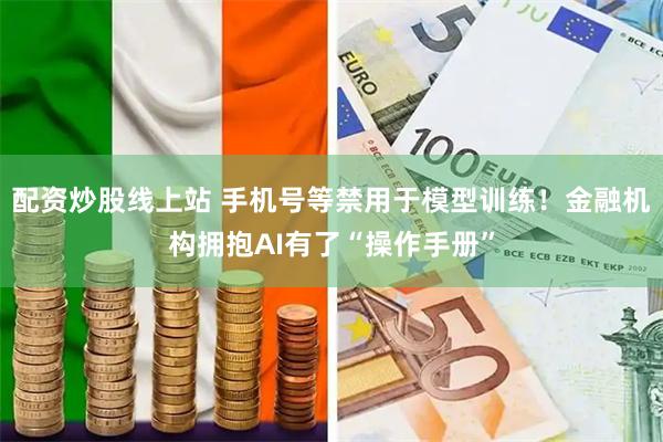 配资炒股线上站 手机号等禁用于模型训练！金融机构拥抱AI有了“操作手册”