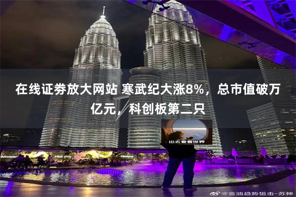 在线证劵放大网站 寒武纪大涨8%，总市值破万亿元，科创板第二只