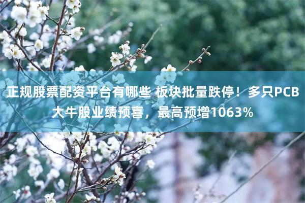 正规股票配资平台有哪些 板块批量跌停!多只PCB大牛股业绩预喜,最高预增1063%