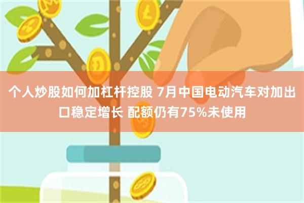 个人炒股如何加杠杆控股 7月中国电动汽车对加出口稳定增长 配额仍有75%未使用