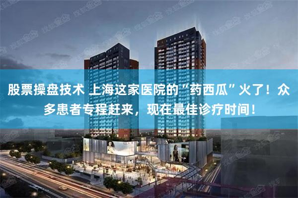 股票操盘技术 上海这家医院的“药西瓜”火了！众多患者专程赶来，现在最佳诊疗时间！