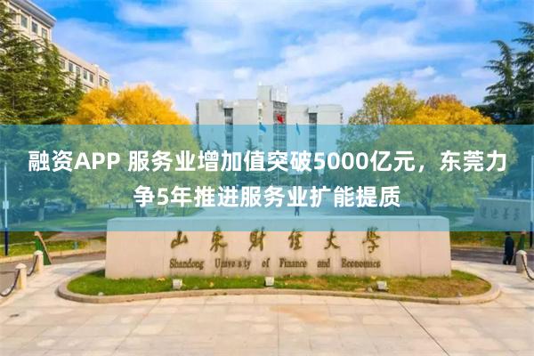 融资APP 服务业增加值突破5000亿元，东莞力争5年推进服务业扩能提质