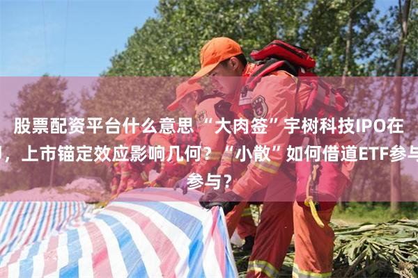 股票配资平台什么意思 “大肉签”宇树科技IPO在即，上市锚定效应影响几何？“小散”如何借道ETF参与？