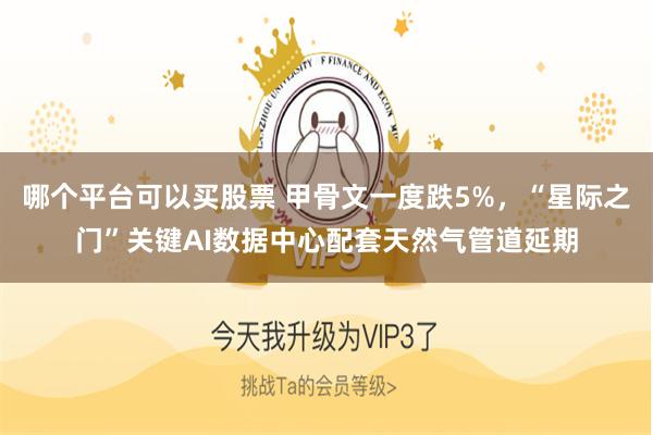 哪个平台可以买股票 甲骨文一度跌5%，“星际之门”关键AI数据中心配套天然气管道延期