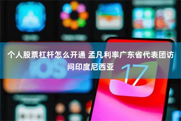 个人股票杠杆怎么开通 孟凡利率广东省代表团访问印度尼西亚