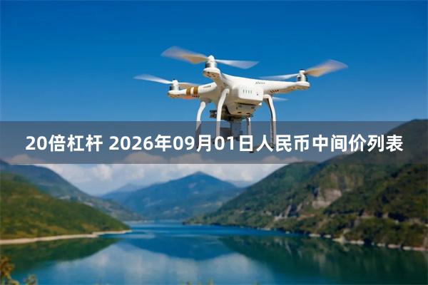 20倍杠杆 2026年09月01日人民币中间价列表
