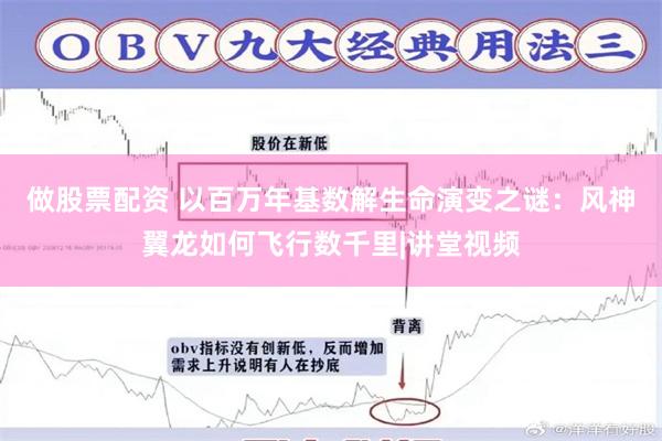 做股票配资 以百万年基数解生命演变之谜：风神翼龙如何飞行数千里|讲堂视频