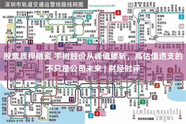 股票质押融资 宇树股价从峰值腰斩，高估值透支的不只是公司未来 | 财经时评