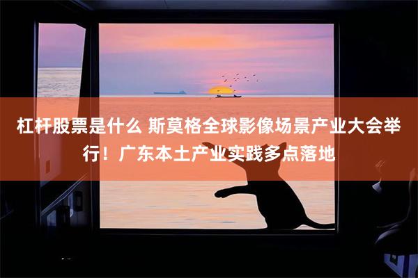 杠杆股票是什么 斯莫格全球影像场景产业大会举行！广东本土产业实践多点落地