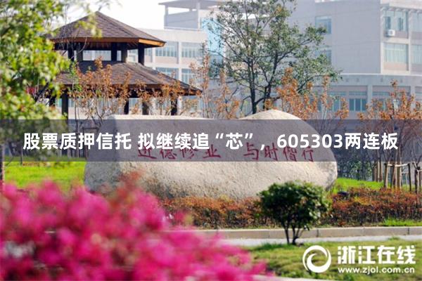 股票质押信托 拟继续追“芯”，605303两连板