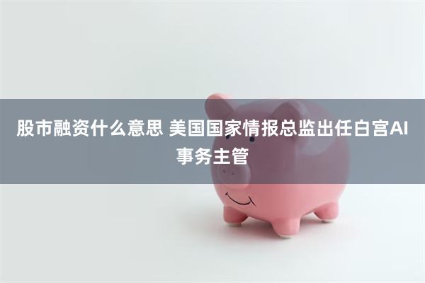 股市融资什么意思 美国国家情报总监出任白宫AI事务主管