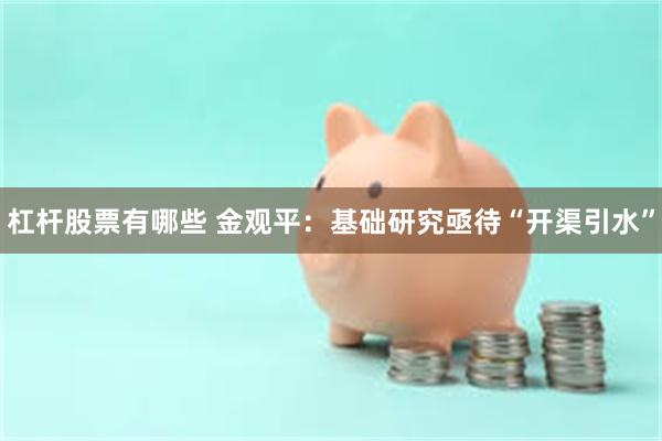 杠杆股票有哪些 金观平：基础研究亟待“开渠引水”
