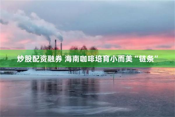 炒股配资融券 海南咖啡培育小而美“链条”