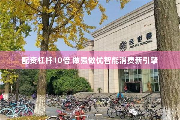 配资杠杆10倍 做强做优智能消费新引擎