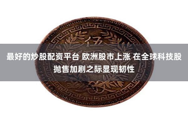 最好的炒股配资平台 欧洲股市上涨 在全球科技股抛售加剧之际显现韧性